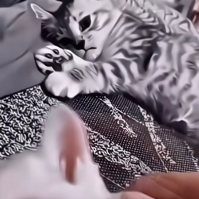 APP LÀM ĐƠ MÁY